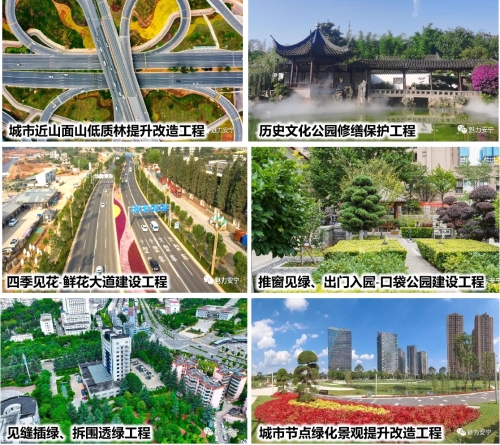 4·实施成效