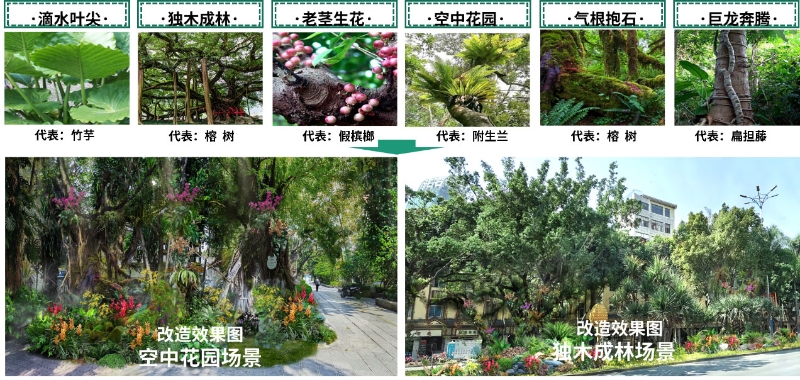 图一：雨林场景规划效果图