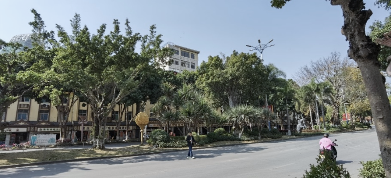 图二：宣慰大道建设前实景照片